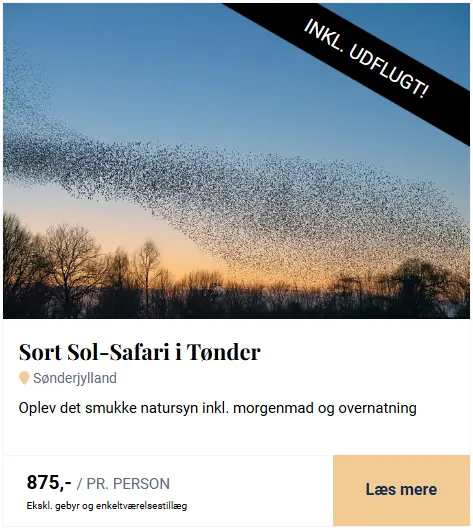 Skaermbillede-2026-01-19-134133-1