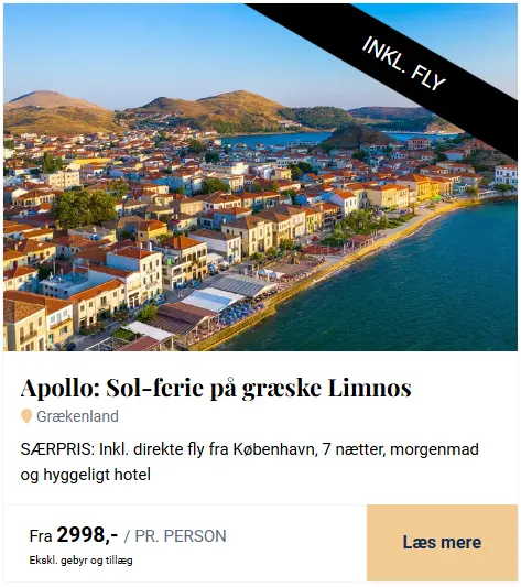 Skaermbillede-2026-01-20-080943-1