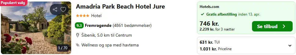 Skaermbillede-2026-01-21-100123