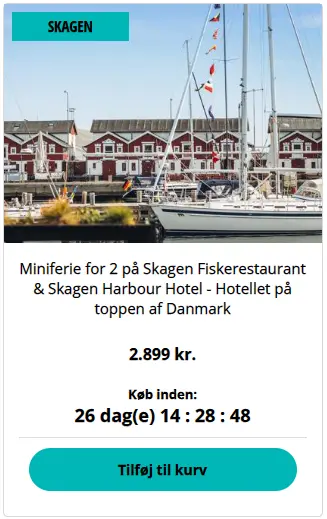 Skaermbillede-2026-01-22-093025