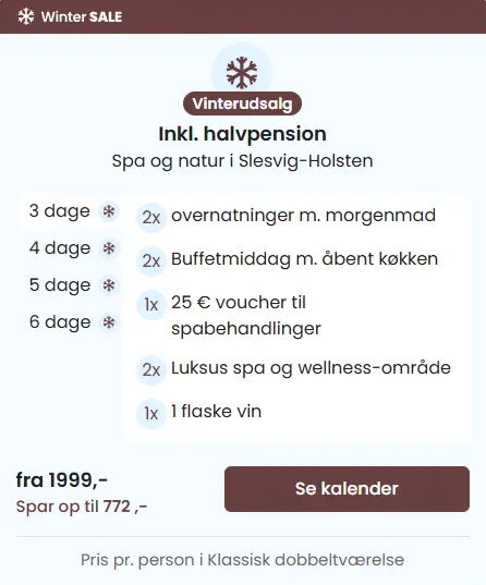 Skaermbillede-2026-01-27-133819