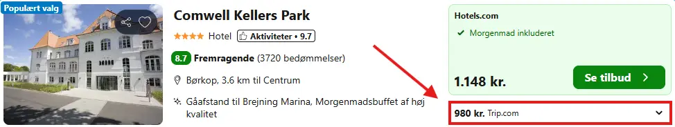 Skaermbillede-2026-01-29-125603