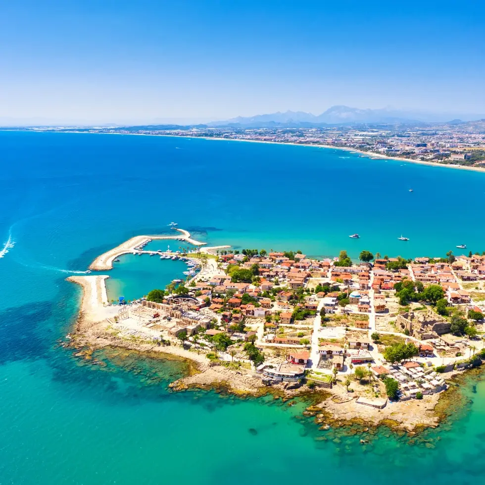 Banner-980-x-980-px-1