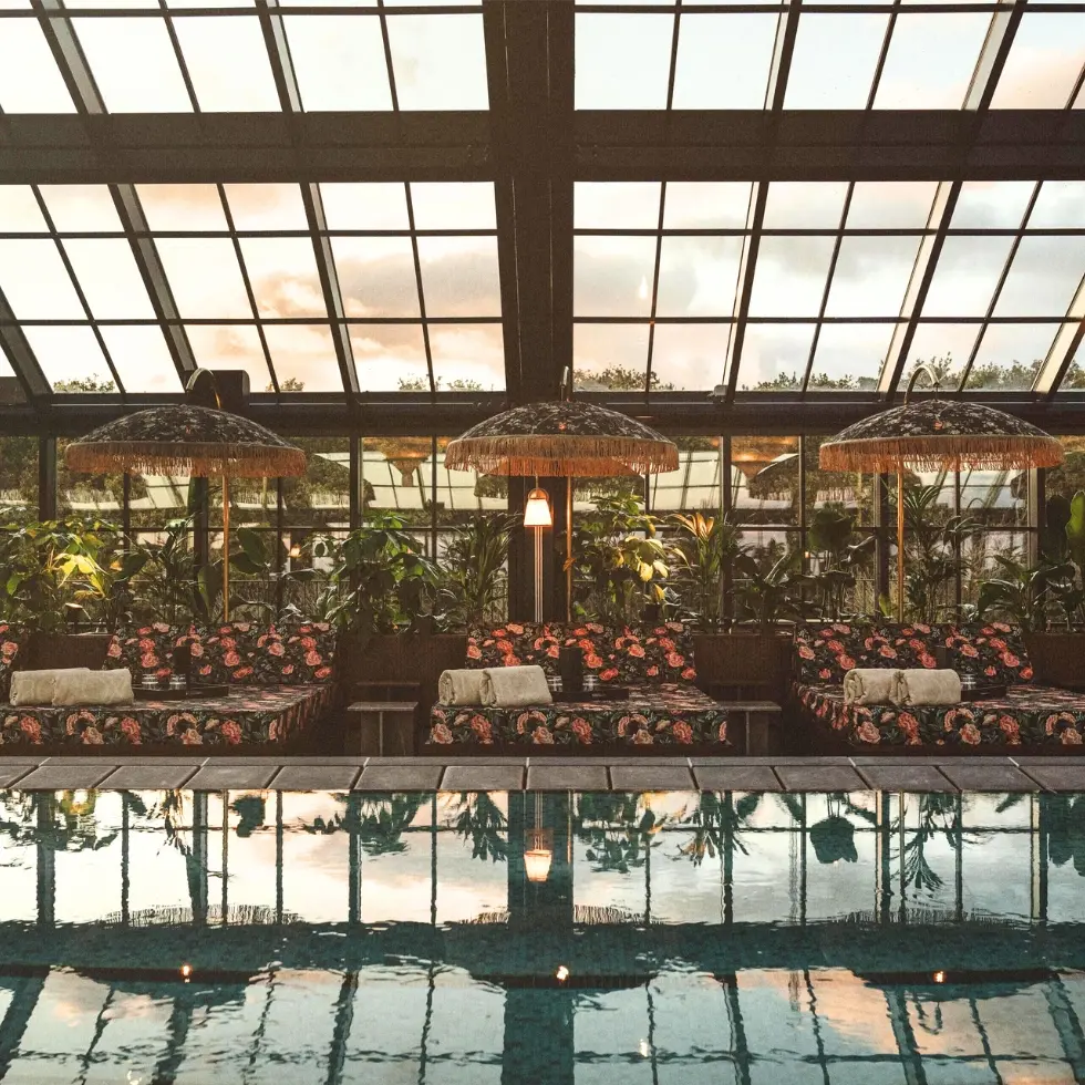 Rox-Resort-banner-980-x-980