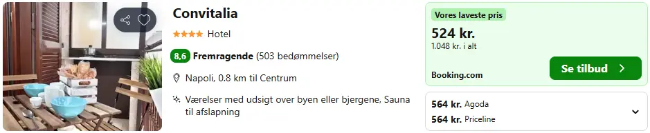 Skaermbillede-2026-02-24-105836