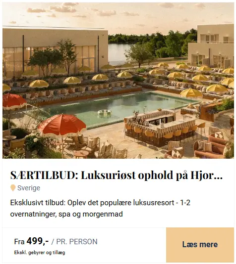 Skaermbillede-2026-02-26-081540