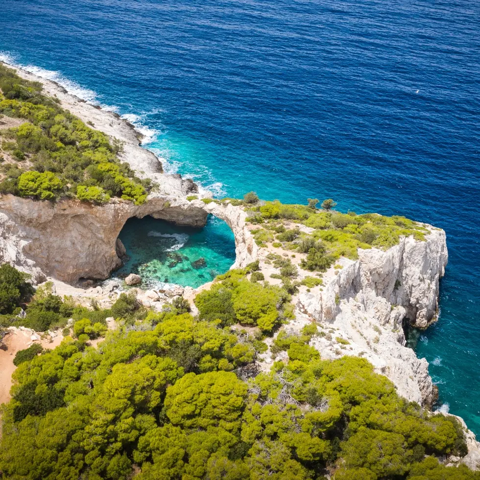 Banner-980-x-980-px-1