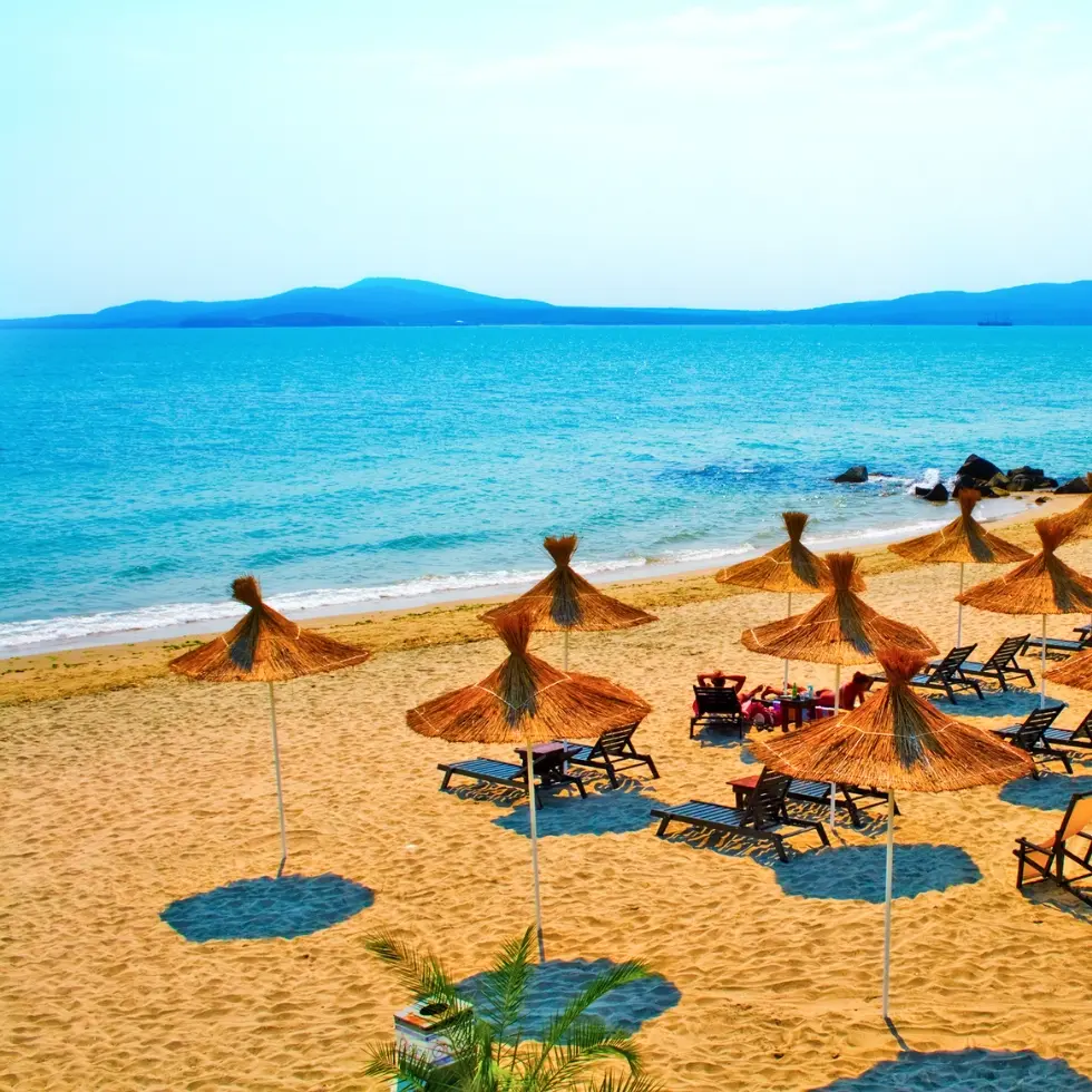 Banner-980-x-980-px-2