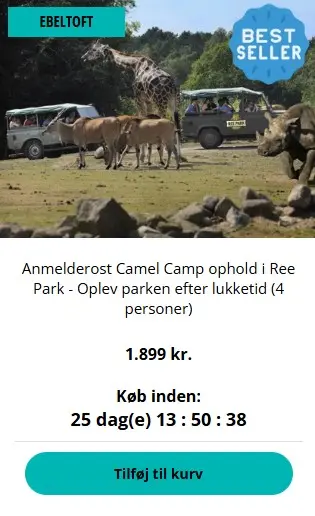 Odendo-Ree-Park-Camel-Camp-200326