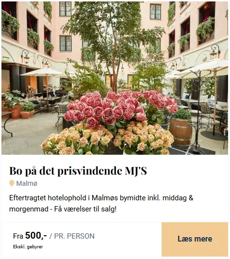 Skaermbillede-2026-03-12-110220