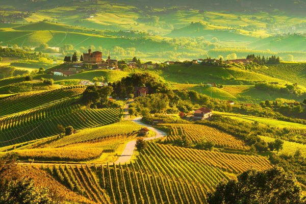 Rejse til Torino - Langhe