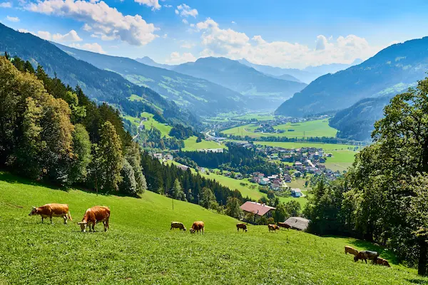 Sommerophold i &Oslash;strig