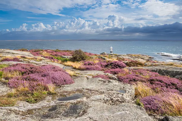 Skærgårdsferie i Sverige - Käringön