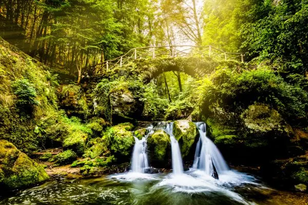 Rejse til Luxembourg - Mullerthal