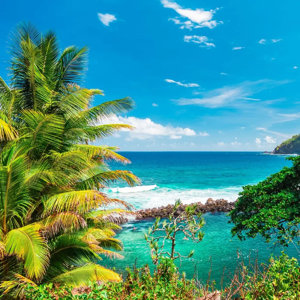 Billige fly til Réunion
