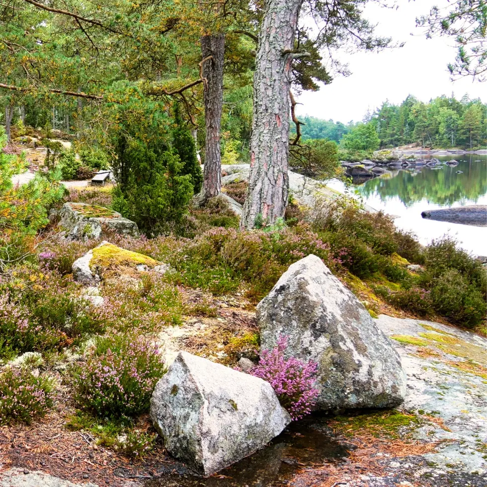 Familieferie i Sverige
