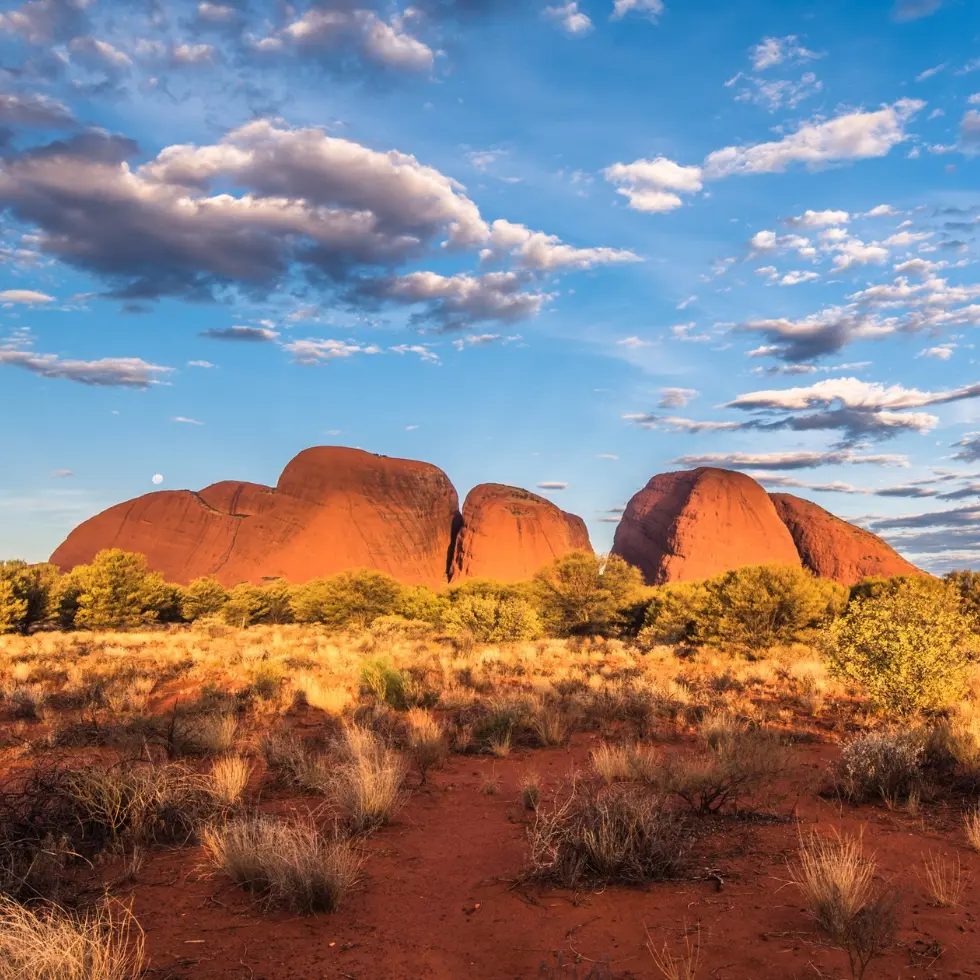 Billige fly til Australien