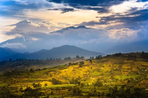 Billige fly til Uganda Rwenzori Mountains