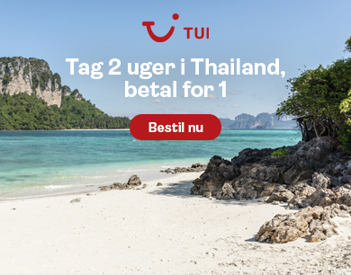 Rejsespejder billige rejser annonce mobil