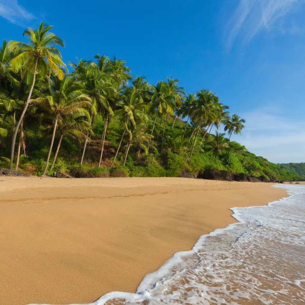 Rejse til Goa - indisk strandparadis