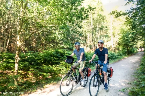 Cykeltur i skoven, Graal-Müritz, Mecklenburg-Vorpommern, Tyskland