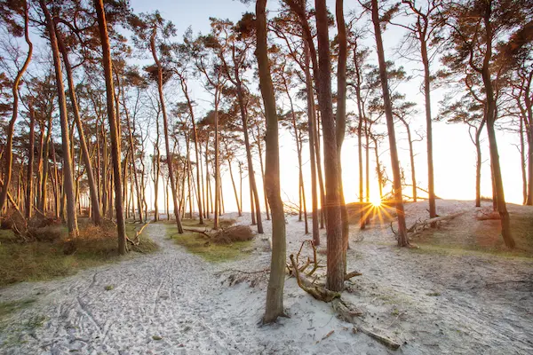 Fischland-Darß-Zingst, Mecklenburg-Vorpommern, Tyskland