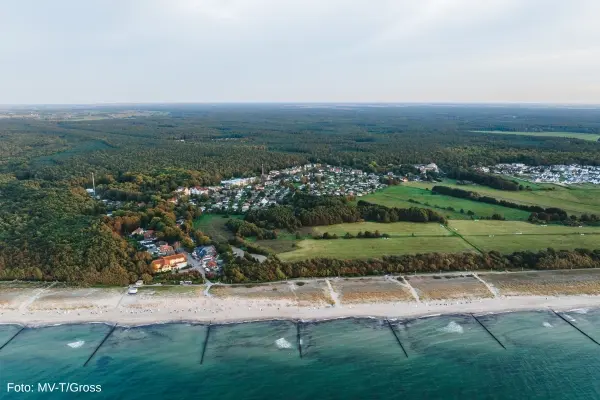 Hav, kyst og skov ved Graal-Müritz, Mecklenburg-Vorpommern, Tyskland
