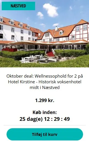 ODENDO-KIRSTINE-110926
