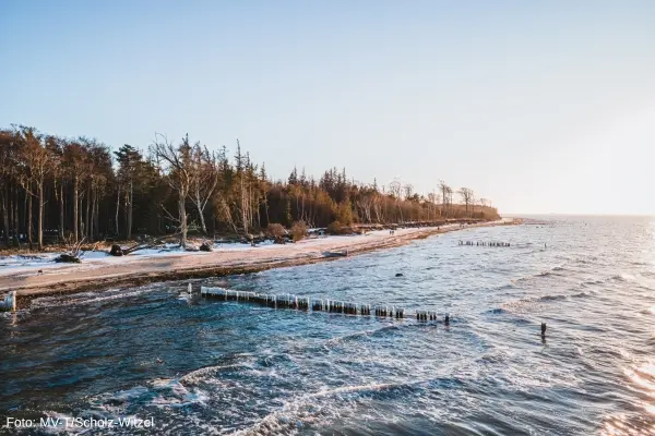 Strand nær Torfbrücke, Graal-Müritz, Mecklenburg-Vorpommern,Tyskland