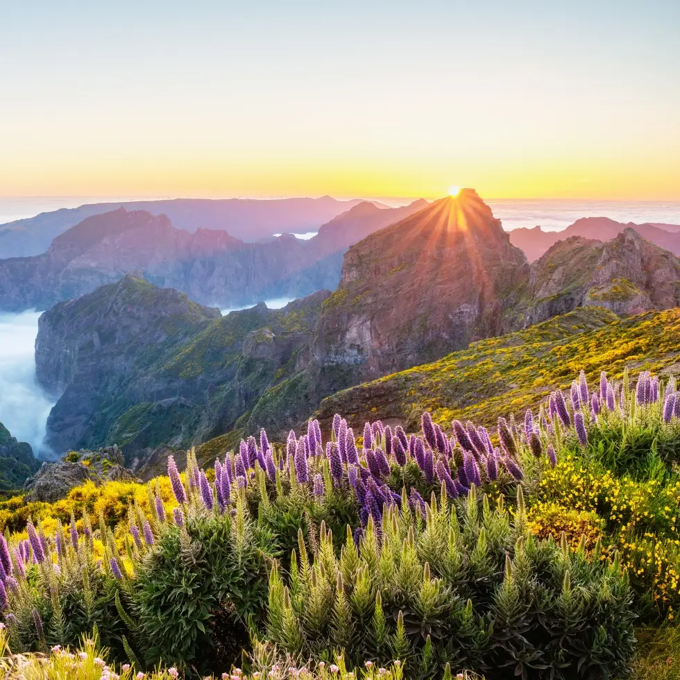 Rejse til Madeira