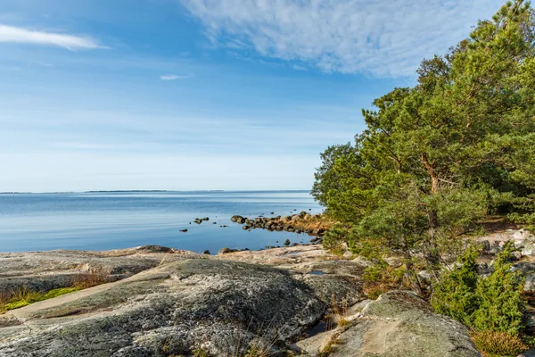 Fyrretræer og glatte klipper ved vandet i den finske skærgård