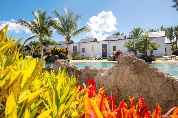Poolområde, R2 Romantic Fantasia Dreams & Suites, Fuerteventura